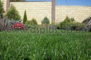 design_landscape (29)